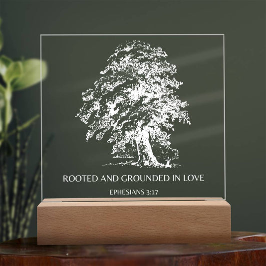 Rooted and Grounded In Love | Ephesians Printed Acrylic Plaque